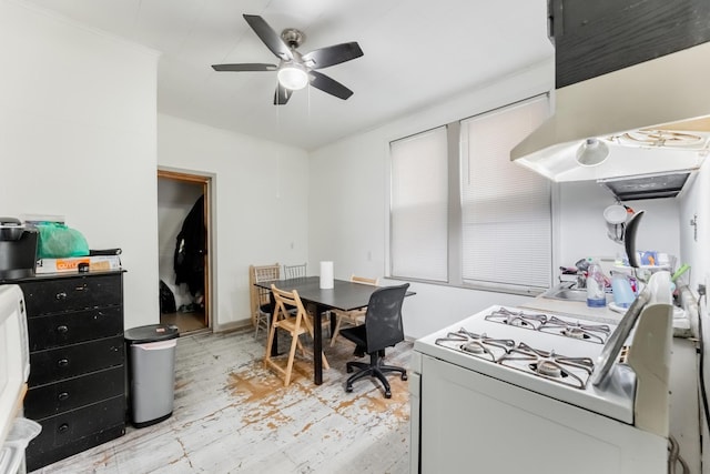 interior space with ceiling fan and light hardwood / wood-style flooring