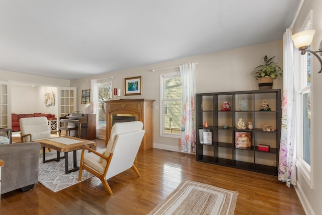 sitting room featuring wood-type flooring