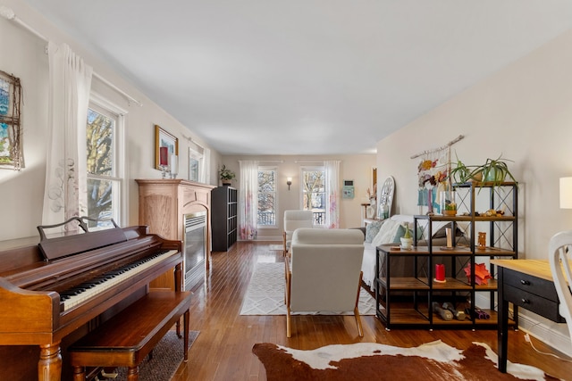 living room with wood-type flooring and a healthy amount of sunlight