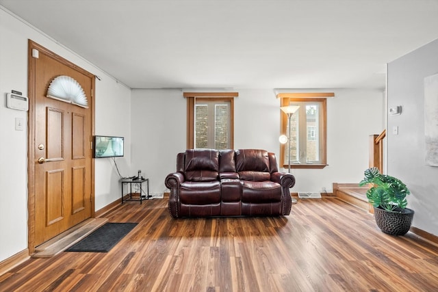 living room featuring hardwood / wood-style floors