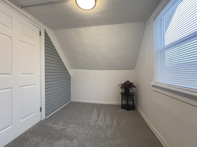 additional living space with carpet and vaulted ceiling