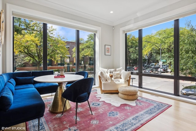 sunroom with a healthy amount of sunlight