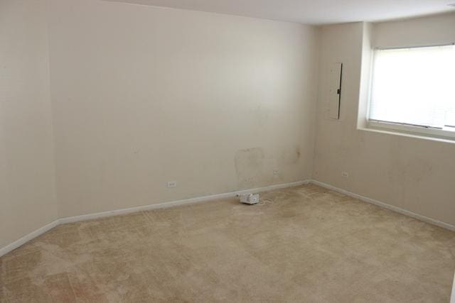 unfurnished room with light carpet