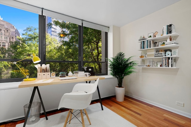 office space featuring wood-type flooring