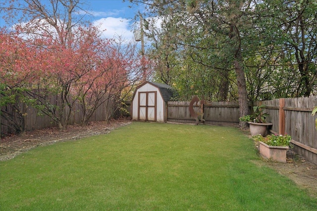 view of yard featuring a shed