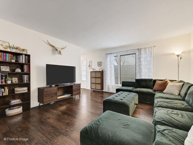 living room featuring dark hardwood / wood-style flooring