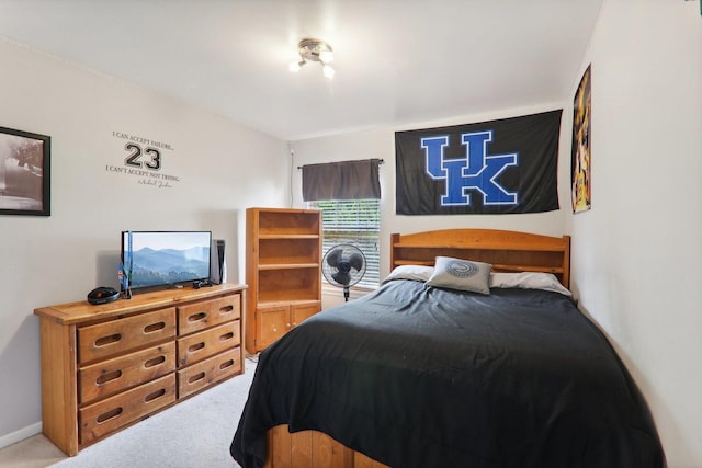 bedroom featuring carpet flooring