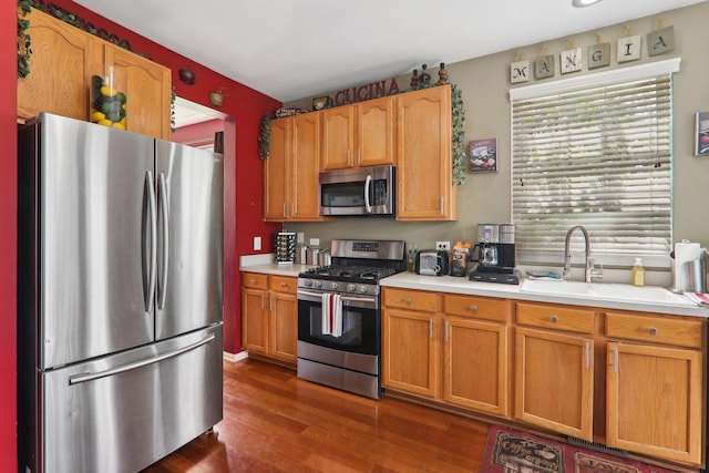 kitchen featuring sink, stainless steel appliances, and dark wood-type flooring