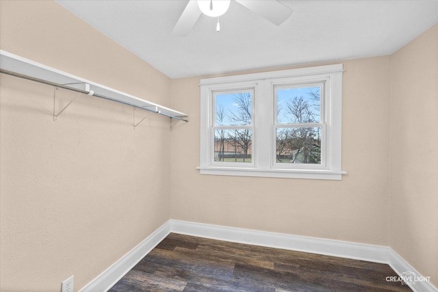 spacious closet with ceiling fan and dark wood-type flooring