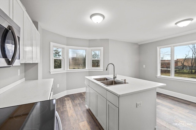 kitchen with plenty of natural light, sink, a kitchen island with sink, and appliances with stainless steel finishes