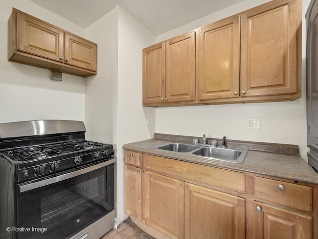 kitchen with gas stove and sink