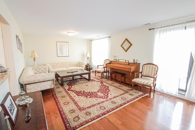 living room featuring wood-type flooring