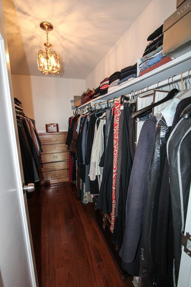 spacious closet featuring a notable chandelier and dark hardwood / wood-style flooring