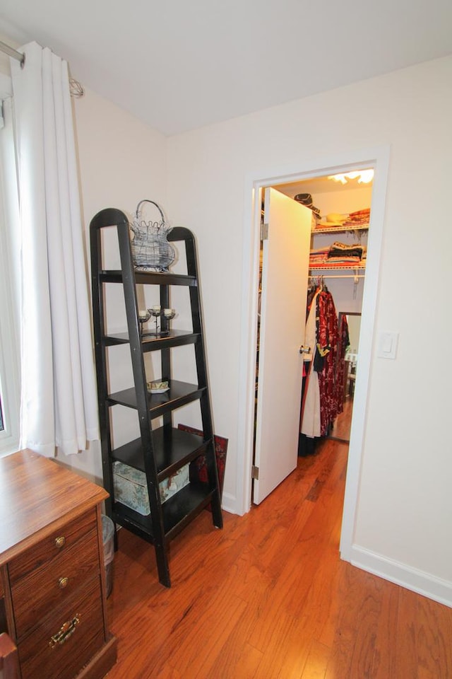 interior space with wood-type flooring, a spacious closet, and a closet