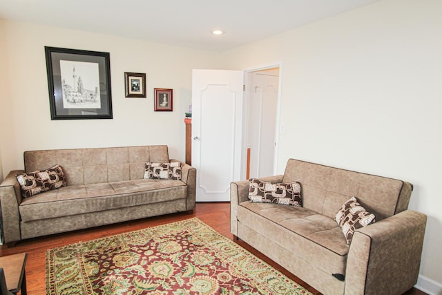 living room featuring wood-type flooring