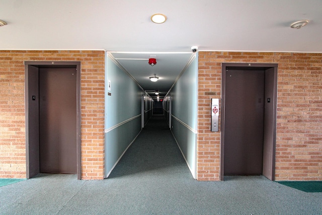 hall with elevator, carpet, and ornamental molding