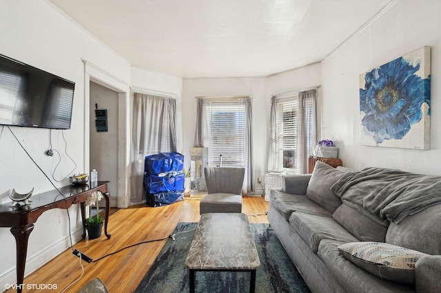 living room with wood-type flooring and ornamental molding