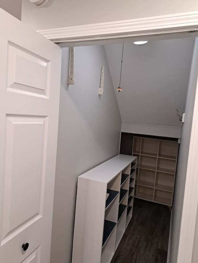 spacious closet with lofted ceiling and dark hardwood / wood-style floors