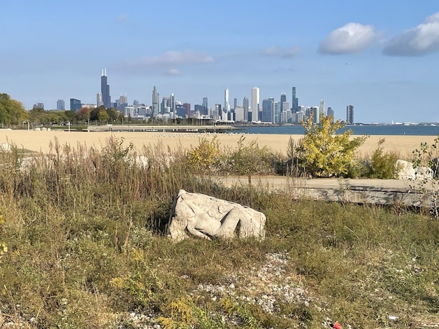 4730 S Greenwood Ave, Chicago, IL 60615 - photo 45