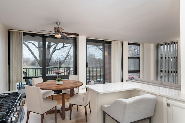 dining room featuring ceiling fan and light hardwood / wood-style flooring