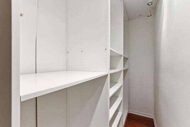 walk in closet featuring dark hardwood / wood-style flooring