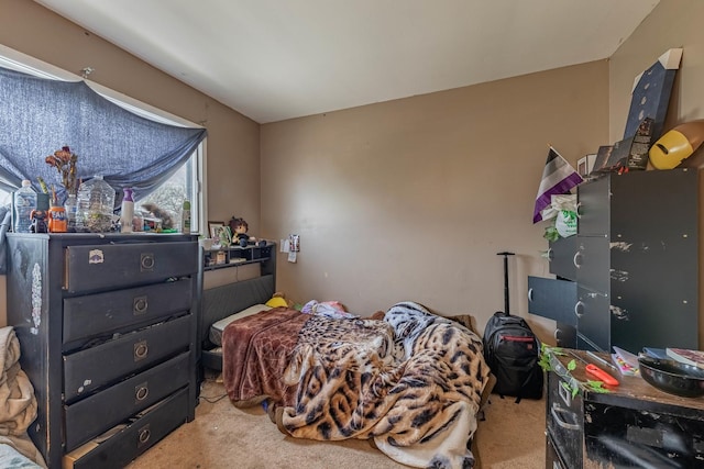 bedroom with carpet flooring