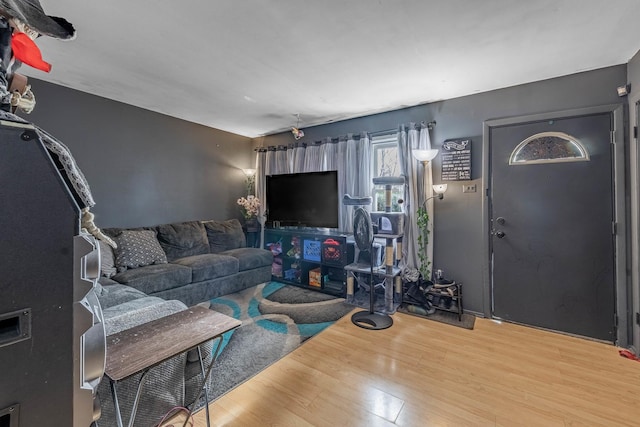 living room with wood-type flooring