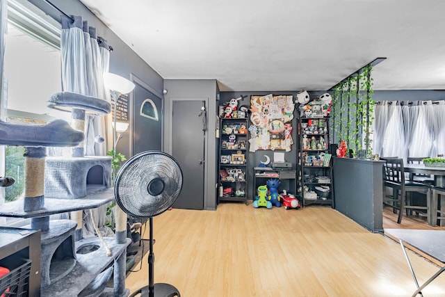 game room with hardwood / wood-style flooring