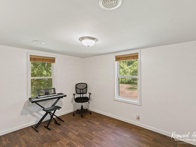 interior space featuring dark hardwood / wood-style flooring and plenty of natural light