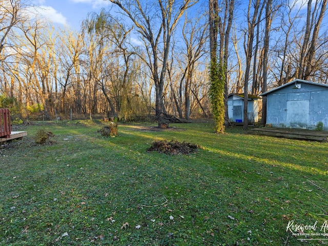 view of yard featuring a shed