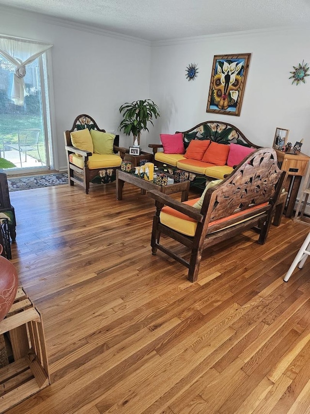 living room featuring hardwood / wood-style floors and a textured ceiling