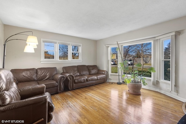 living room with wood-type flooring, a textured ceiling, and a wealth of natural light