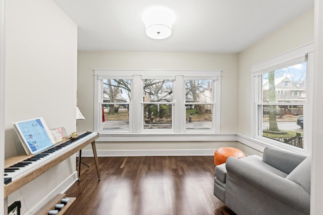 living area with dark hardwood / wood-style flooring