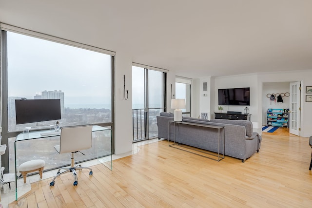 living room featuring plenty of natural light, floor to ceiling windows, and light hardwood / wood-style floors