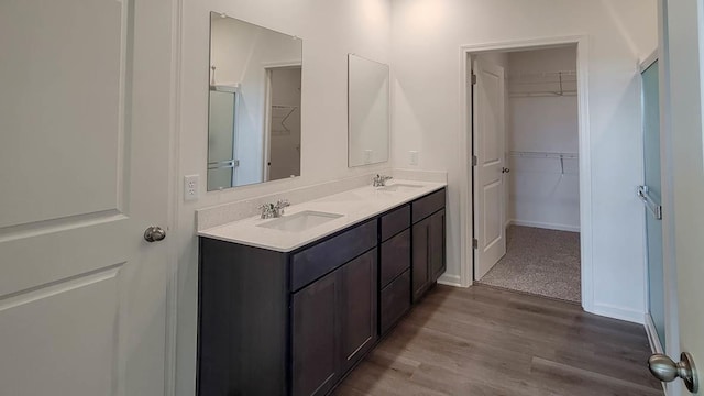 bathroom with hardwood / wood-style flooring and vanity