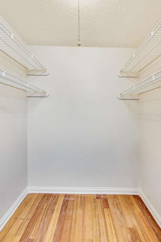 walk in closet featuring wood-type flooring