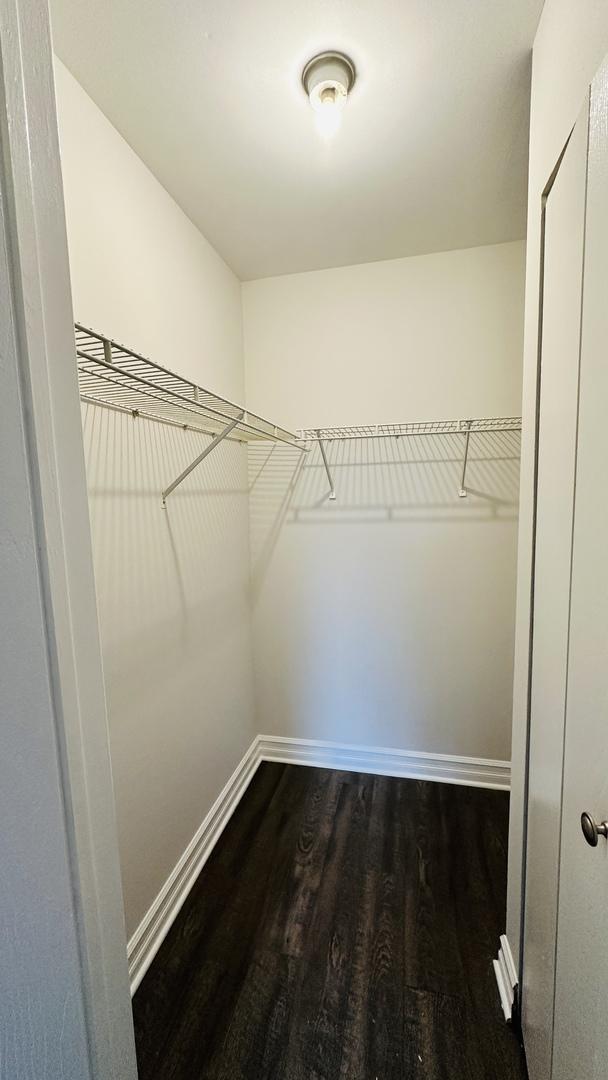 spacious closet with hardwood / wood-style floors