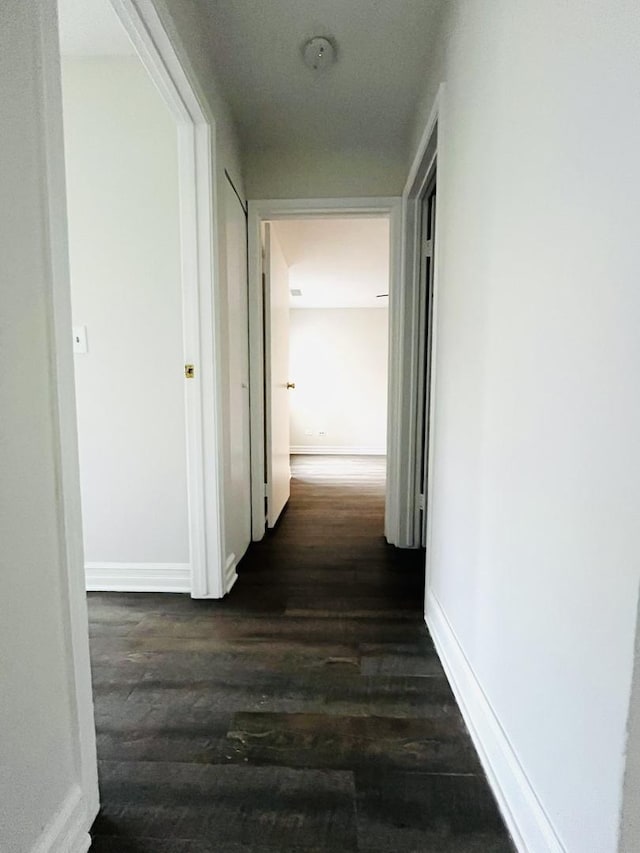 corridor featuring dark hardwood / wood-style floors