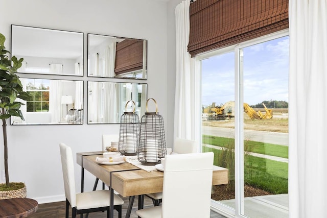 dining space featuring hardwood / wood-style floors