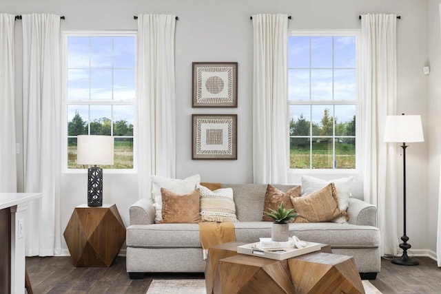 living area featuring dark hardwood / wood-style flooring and a healthy amount of sunlight