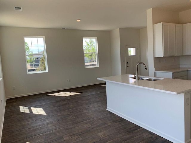 kitchen featuring dark hardwood / wood-style flooring, a kitchen island with sink, plenty of natural light, and sink