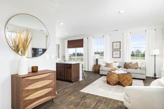 living room featuring sink and dark wood-type flooring