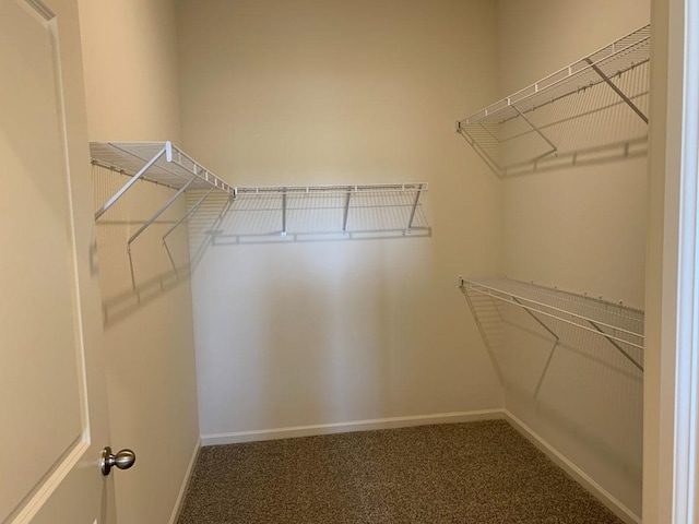 walk in closet with dark carpet