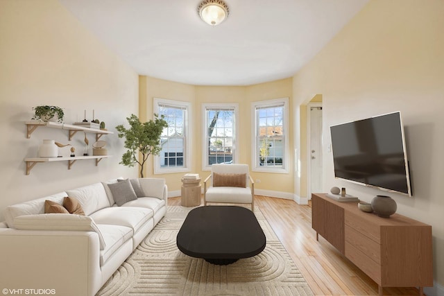 living room featuring light hardwood / wood-style flooring