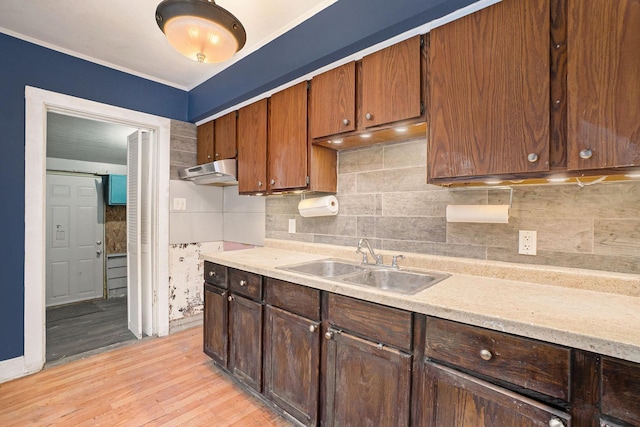 kitchen featuring backsplash, light hardwood / wood-style flooring, crown molding, and sink