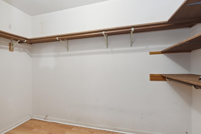 spacious closet featuring light wood-type flooring