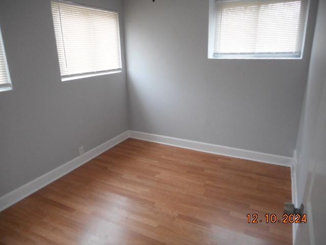 spare room featuring wood-type flooring