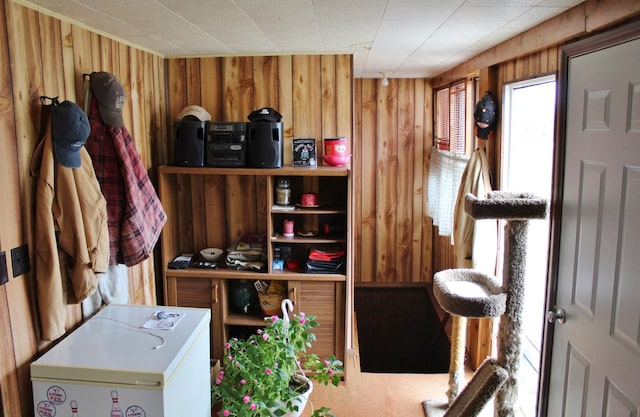 interior space with wood walls