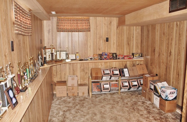 miscellaneous room with carpet flooring and wood walls