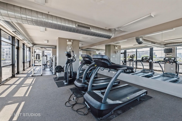 workout area featuring carpet flooring